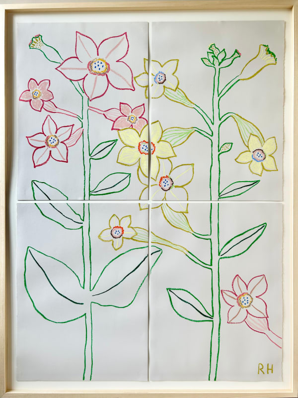Rosie Harbottle, Nicotiana I