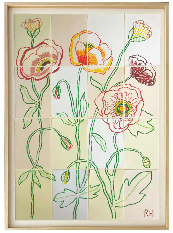 Rosie Harbottle, Icelandic Poppies