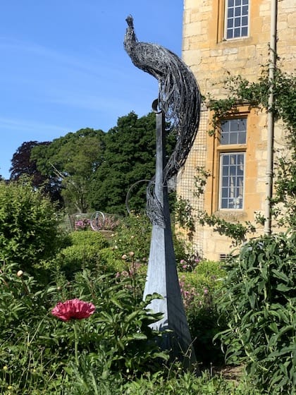 Rupert Till, Peacock Needle