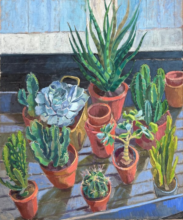 Stella Agnew, Echeveria and Friends