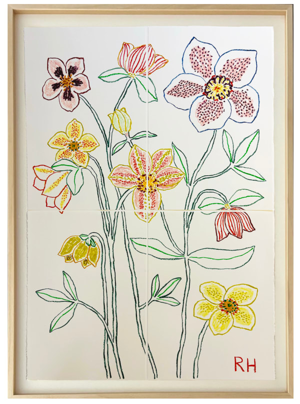 Rosie Harbottle, Hellebore