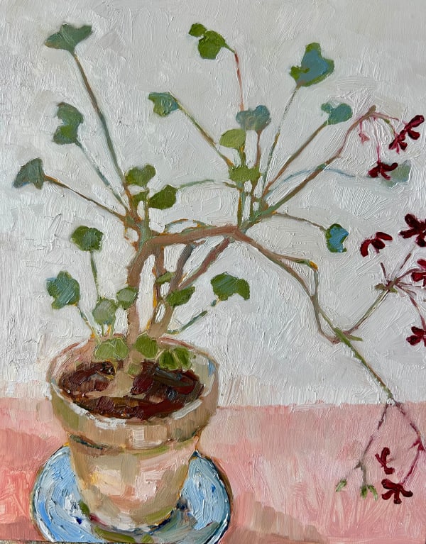 Nicola Stratton Tyler, Pelargonium 'Sidoides' and Blue Saucer