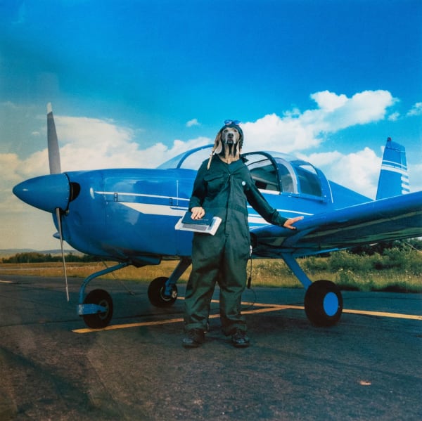 William Wegman - Endurance