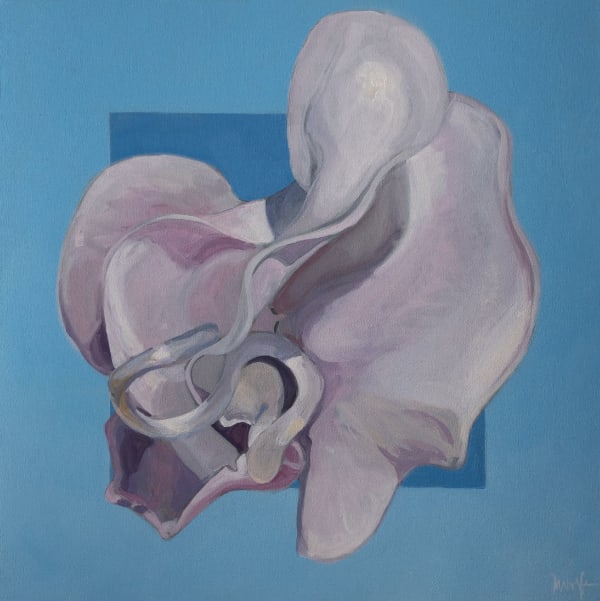 John Wolfe, Shell Vine, 2024