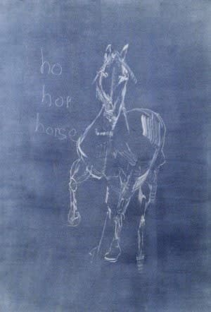 Scott Momaday, PRELIMINARY HORSE NEGATIVE