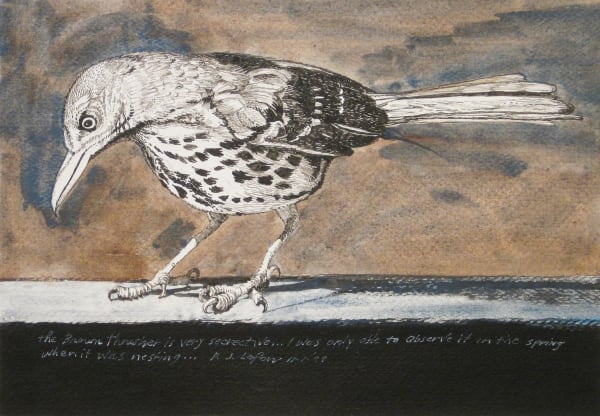 D. J. Lafon, NO. 243