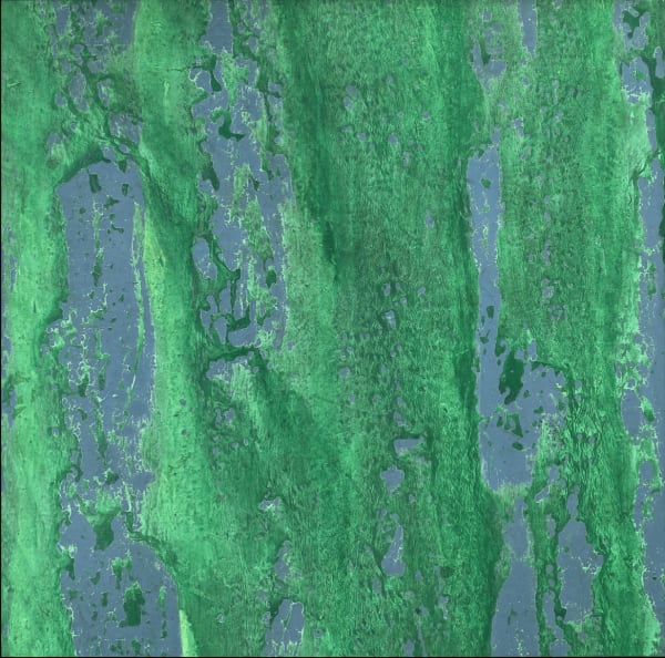 Judit Reigl, Hydrogène, photon, neutrinos, 1984