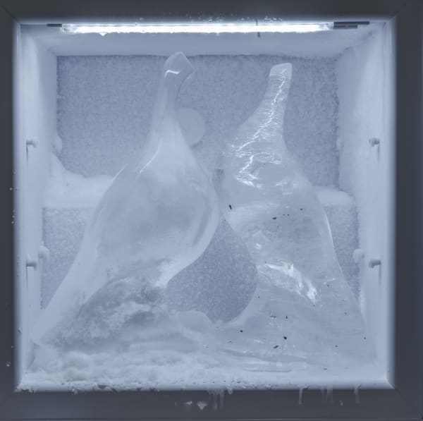 Monsieur Zohore, Snow Birds, 2022