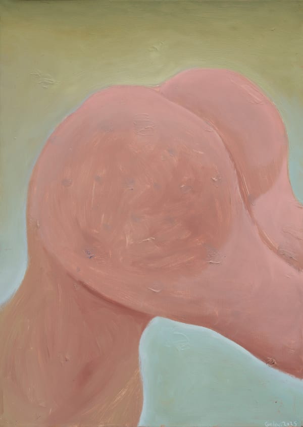 Ge Hui, Workout a Movement / 训练一个动作, 2025