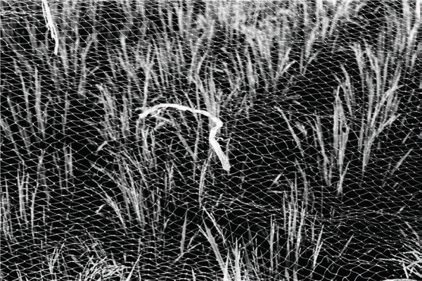 Lo Lai Lai Natalie, Restless I, 2022