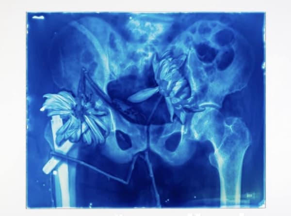 Hu Weiyi, Blood Blue No. 25, 2020