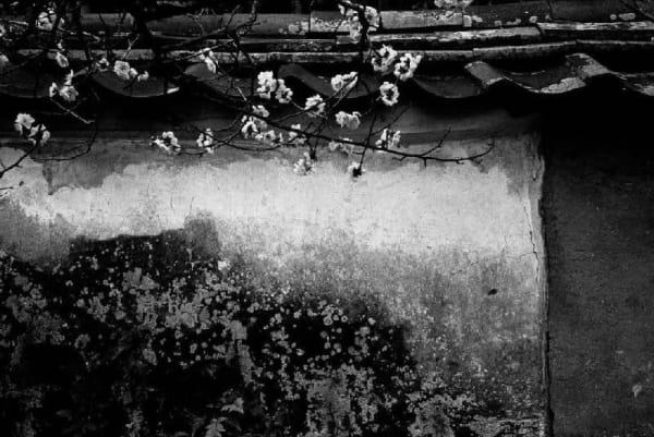 Sun Haiting, A Winter Trip-16 , 2020