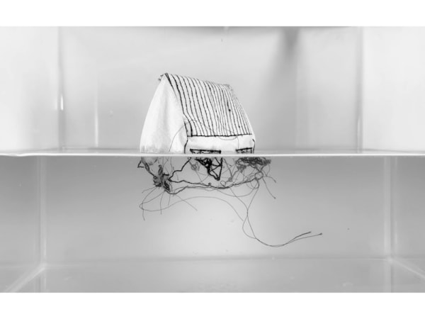 Sumakshi Singh, Un-Home, 2024