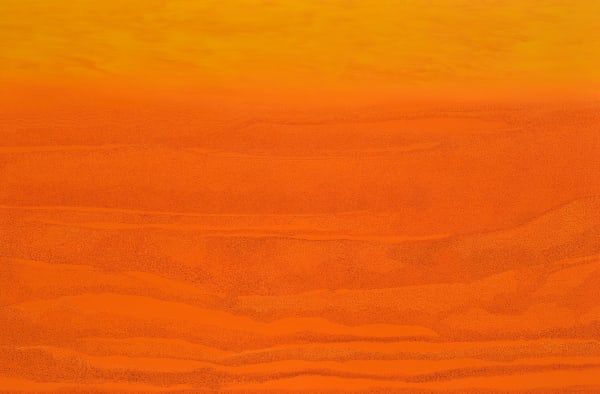 Rachana Badrakia, The Garden of Marigold, 2024