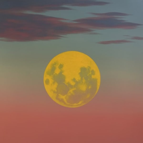 Radhika Kachar, Untitled, 2024