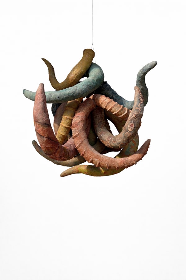 Urgain Zawa, Sa go nam go, 2025