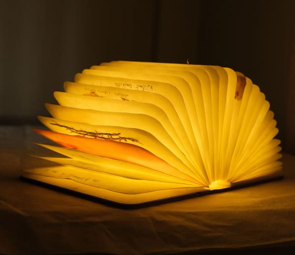 Anupama Alias Anil, The Script of Memory II, 2025