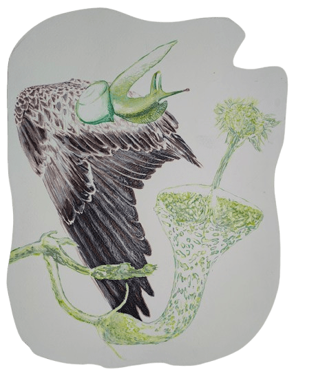 Satadru Sovan Banduri, Whispers left Behind-II, 2024