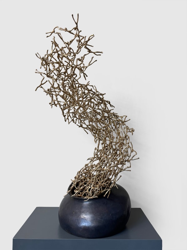 K S Radhakrishnan, The Content is free of the Container, 2024