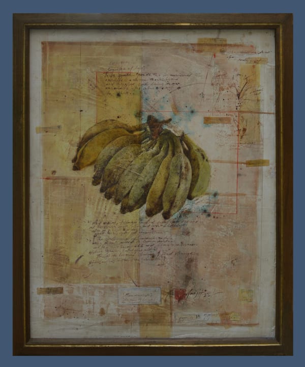 Avijit Dutta, Perfected Paradigms