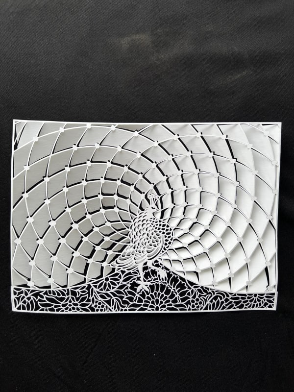 Parth Kothekar, Heritage Series