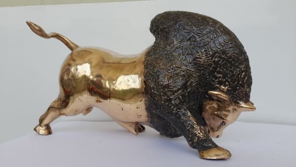 Bholla Sreekanth Kurva, Bull, NA