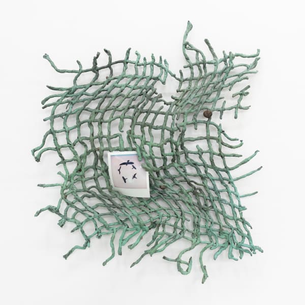 Maya Hottarek, Carrier net, 2025