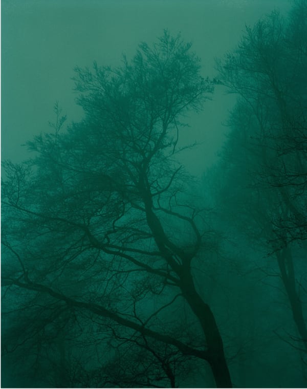 Torben Eskerod, Marselis #9745-02