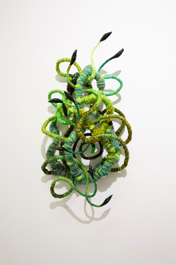 Shane Brox, Jungle Pulse, 2024