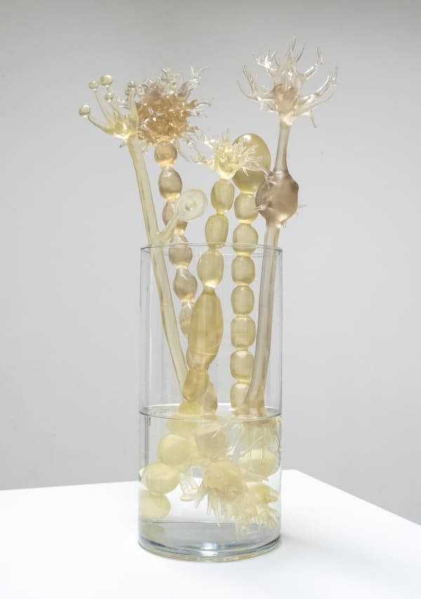 Kaja Lahoda, Neuronbouquet, 2023