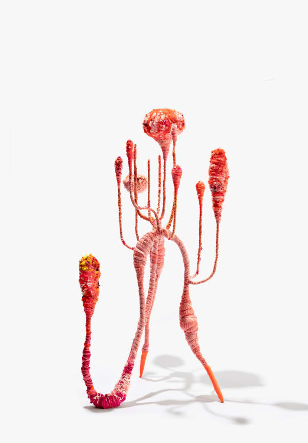Shane Brox, Hill of Pink Dreams, 2024