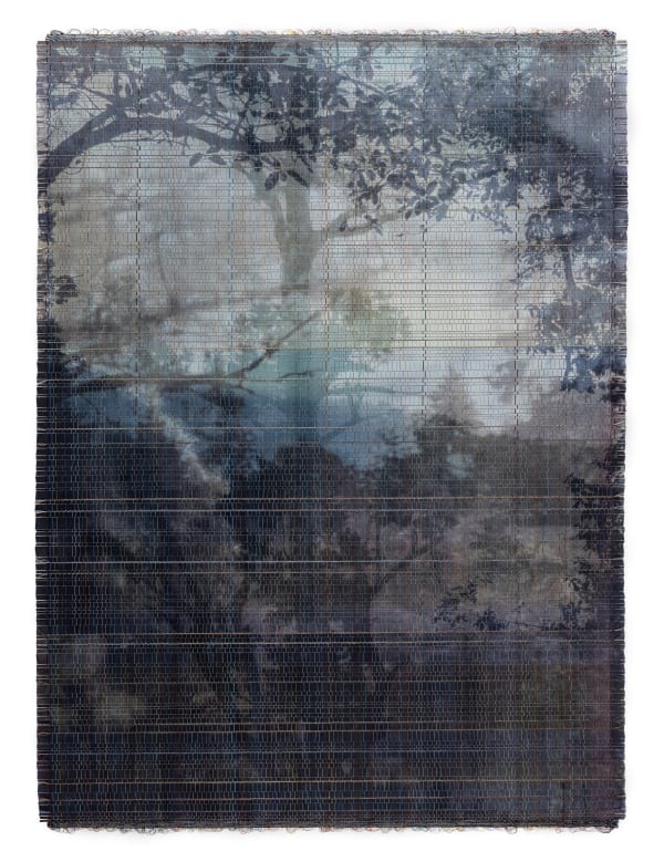 Susanne Wellm, Trees In A Merged Landscape, 2023