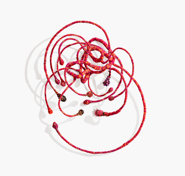 Shane Brox, Coiled Tension, 2024