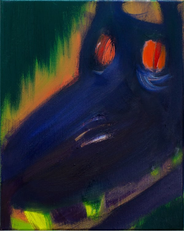 Aneta Kajzer, Coronacodile, 2020