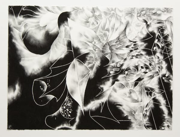 Clara Busch, Valmuernes græsplæne (2), 2023