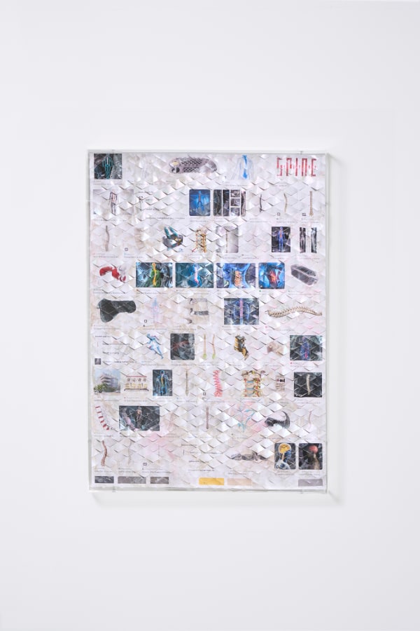 Pamela Rosenkranz, Healer Scrolls (Clearing), 2023
