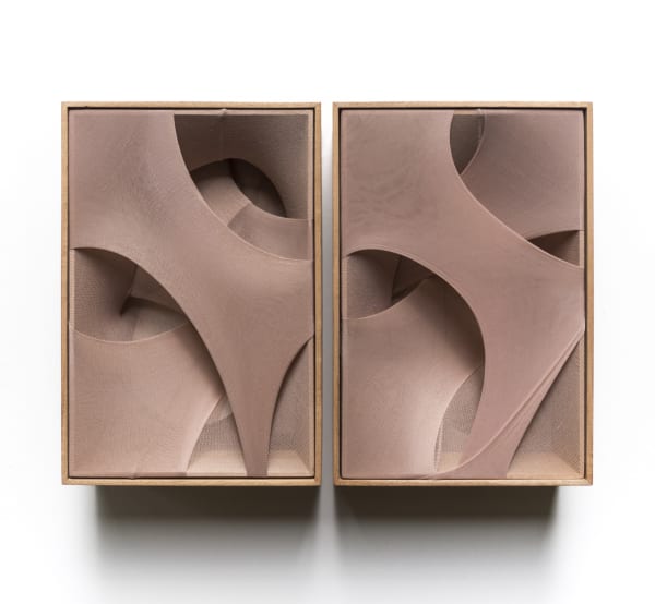 Martín Soto Climént, Luster Geminis, 2020