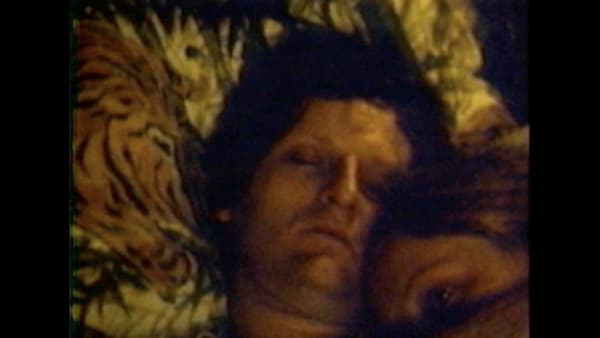 Michel Auder, 48 Hours in 8 Minutes, 1979