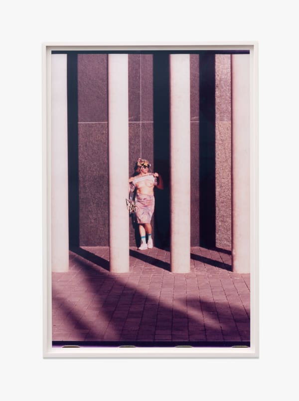 K8 Hardy, Disposition 12, 2016-2019