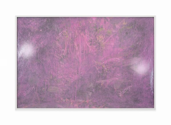 Pamela Rosenkranz, Anamazon (Deep Sweeps), 2021