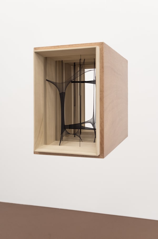 Martín Soto Climént, Hidden Forest, 2019