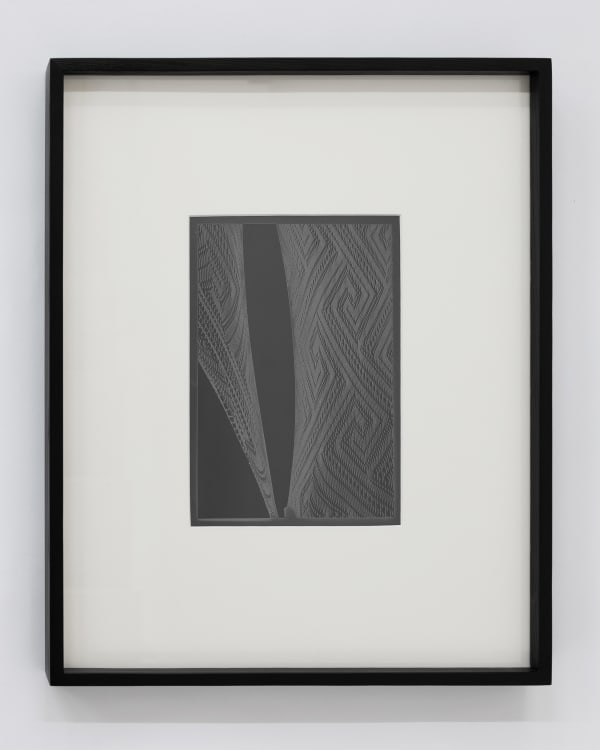 Martín Soto Climént, Photogram 1, 2021