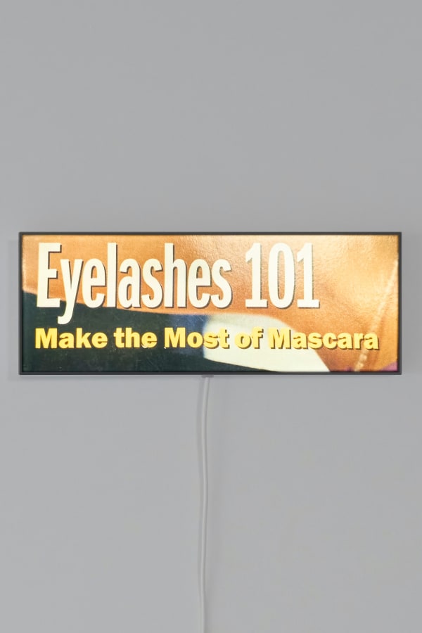 Sylvie Fleury, Eyelashes 101, 2023