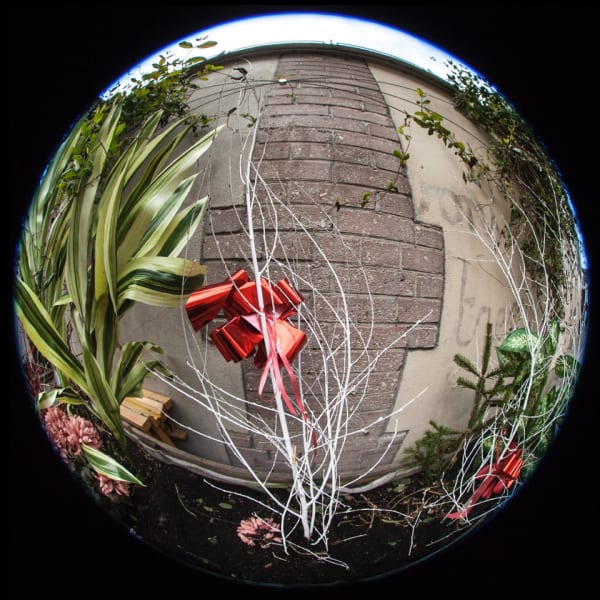 Emanuel Rossetti, Garden, 2018