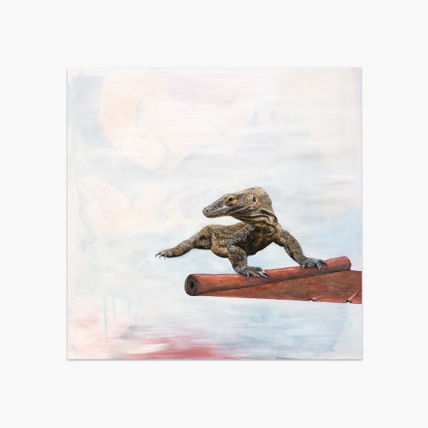 Urban Zellweger, Drago di Komodo, 2018