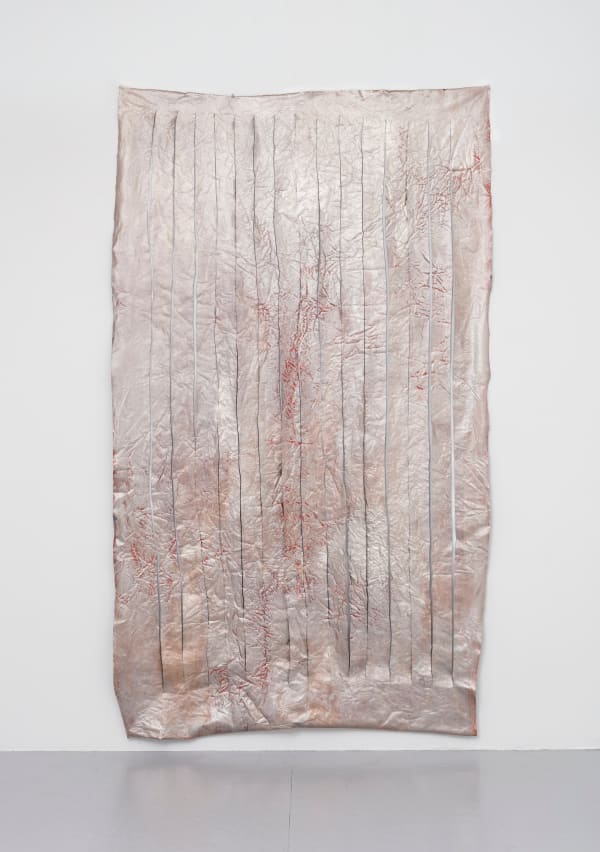 Laura Gannon, Wild Money, 2017