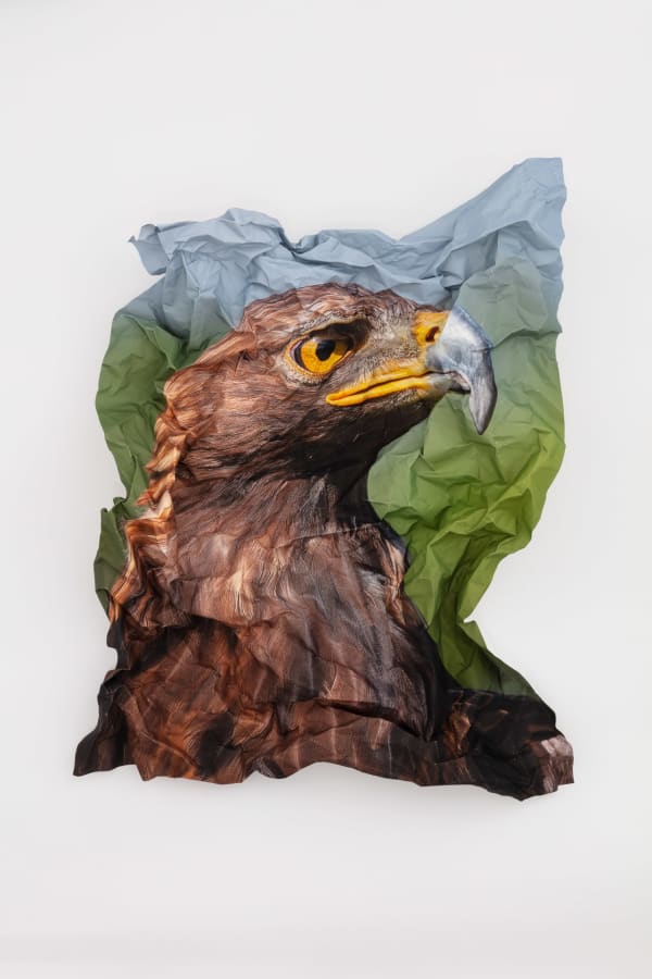 Marcus Coates, British Birds of Prey: Golden Eagle, 2022
