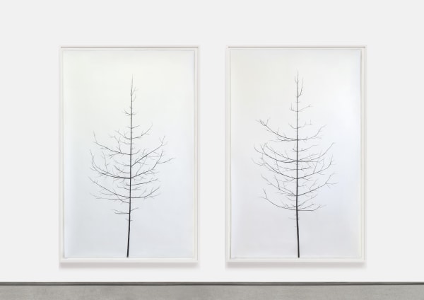 Peter Liversidge, Winter Drawings, 2024