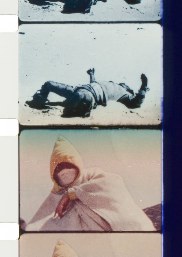 Ben Rivers, Phantoms of a Libertine, 2012