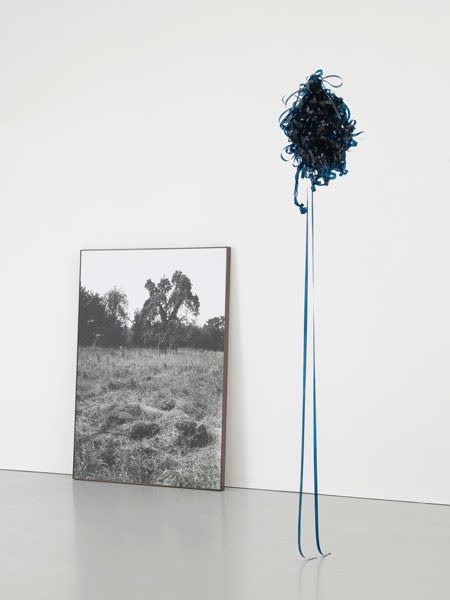 Marcus Coates, Skylark Song, 2012